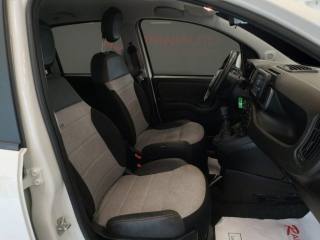 FIAT Panda usata 16