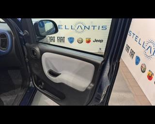 FIAT New Panda usata 16