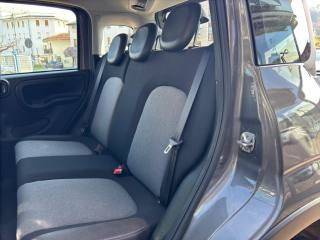 FIAT Panda Cross usata, con Immobilizzatore elettronico