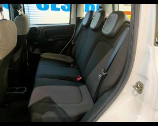 FIAT New Panda usata 15