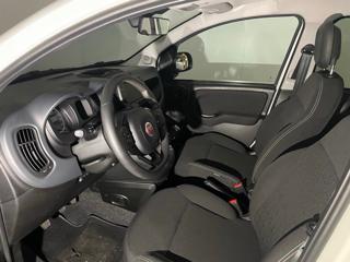 FIAT Panda Cross usata, con Climatizzatore