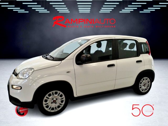 FIAT Panda usata 11