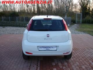 FIAT Punto usata 5