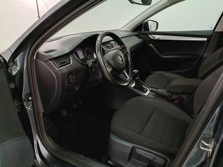 SKODA Octavia usata, con Fendinebbia