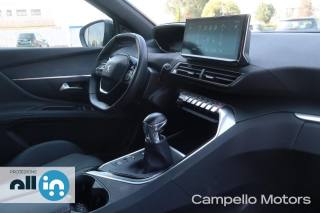 PEUGEOT 3008 usata 12