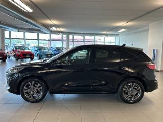 FORD Kuga usata, con Airbag Passeggero