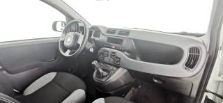 FIAT Panda usata 48