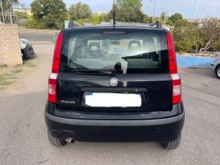 FIAT Panda usata 6