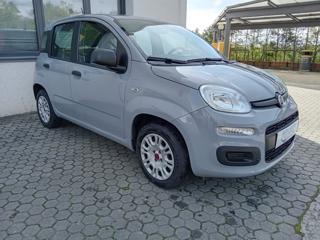 FIAT Panda usata, con Airbag Passeggero