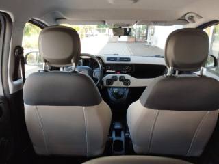 FIAT Panda usata, con Fendinebbia