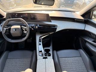 PEUGEOT 3008 usata, con Vetri oscurati