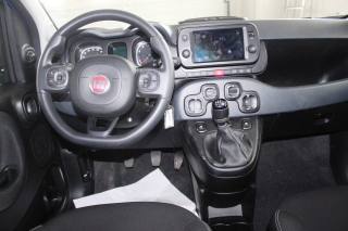 FIAT Panda usata, con Fendinebbia