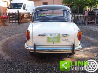 FIAT 1100 usata 5