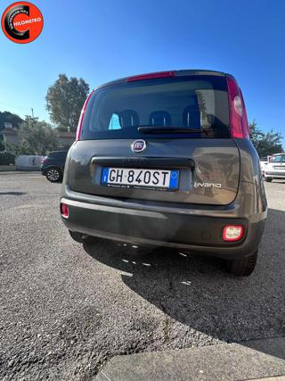 FIAT Panda usata, con Controllo trazione