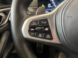BMW 420 usata, con Sistema di navigazione