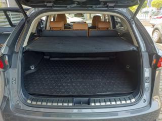 LEXUS NX 300 usata, con Antifurto