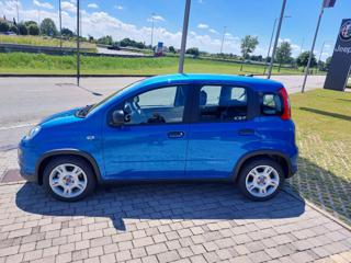 FIAT Panda usata, con Airbag