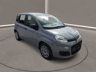 FIAT Panda usata, con Antifurto