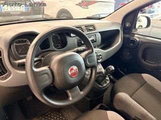 FIAT Panda usata, con Climatizzatore