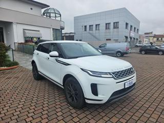 LAND ROVER Range Rover Evoque usata, con Cerchi in lega
