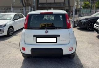 FIAT Panda usata, con Antifurto