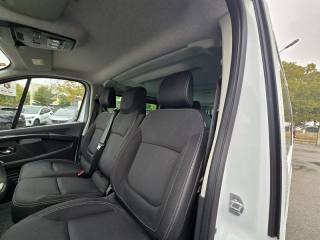 RENAULT Trafic usata, con Antifurto