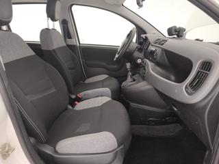FIAT Panda usata 25