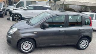 FIAT Panda usata, con Cerchi in lega