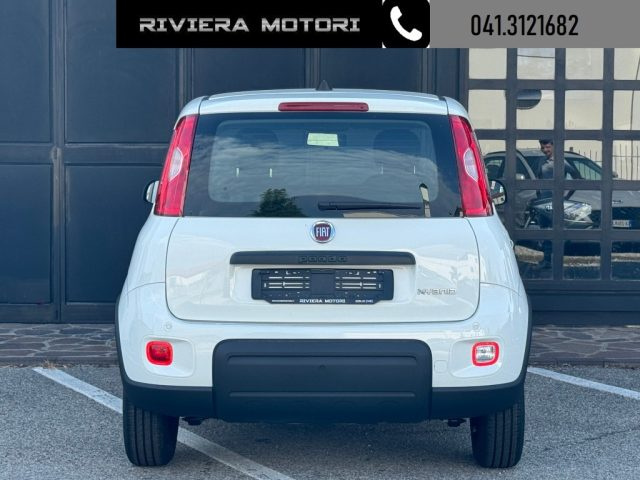 FIAT Panda usata, con Controllo trazione