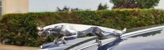 JAGUAR MK II usata 2