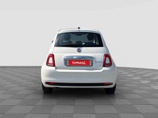 FIAT 500 usata 3
