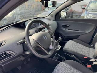 LANCIA Ypsilon usata, con Fendinebbia