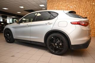 ALFA ROMEO Stelvio usata 83