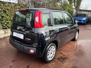 FIAT Panda usata, con Antifurto