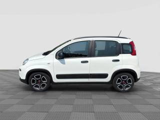 FIAT Panda usata 1