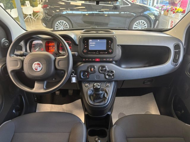 FIAT Panda usata, con Fendinebbia