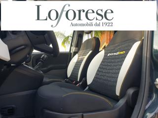 FIAT Pandina usata, con Controllo trazione