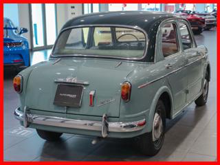 FIAT 1100 usata 6