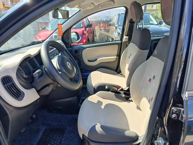 FIAT Panda usata, con Controllo automatico clima
