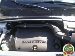 LAND ROVER Range Rover Evoque usata, con Sensori di parcheggio posteriori