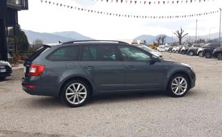 SKODA Octavia usata, con Fendinebbia