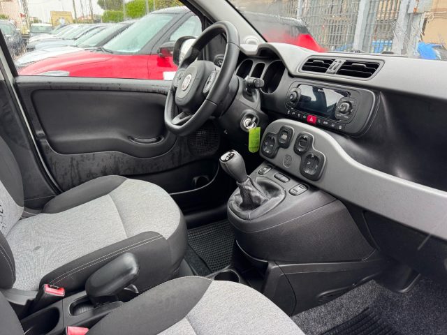 FIAT Panda usata, con Cronologia tagliandi