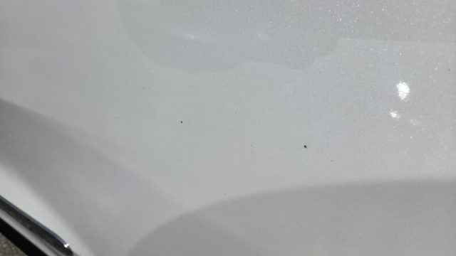 KIA Niro usata, con Controllo automatico clima