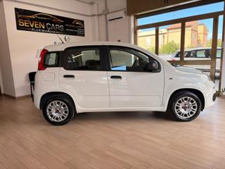 FIAT Panda usata, con Chiusura centralizzata
