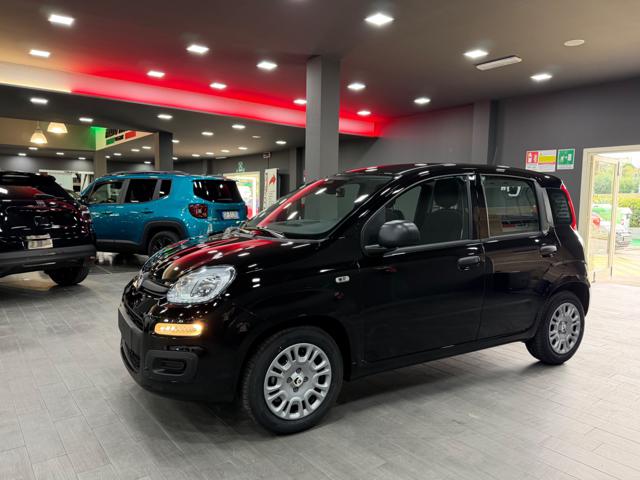 FIAT Pandina usata, con Riconoscimento dei segnali stradali