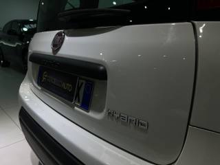 FIAT Panda usata, con Controllo trazione