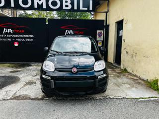 FIAT Panda usata, con Airbag