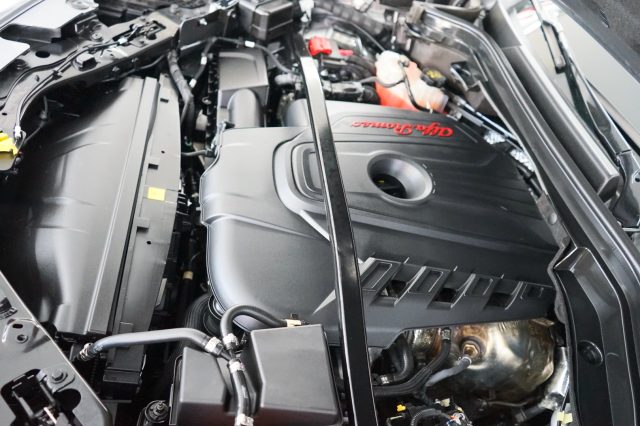 ALFA ROMEO Stelvio usata 60
