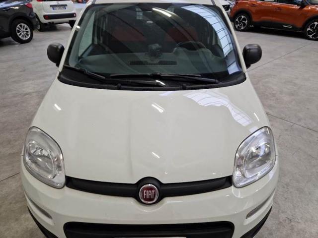 FIAT Panda usata, con USB