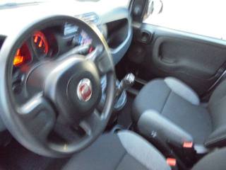 FIAT Panda usata 18